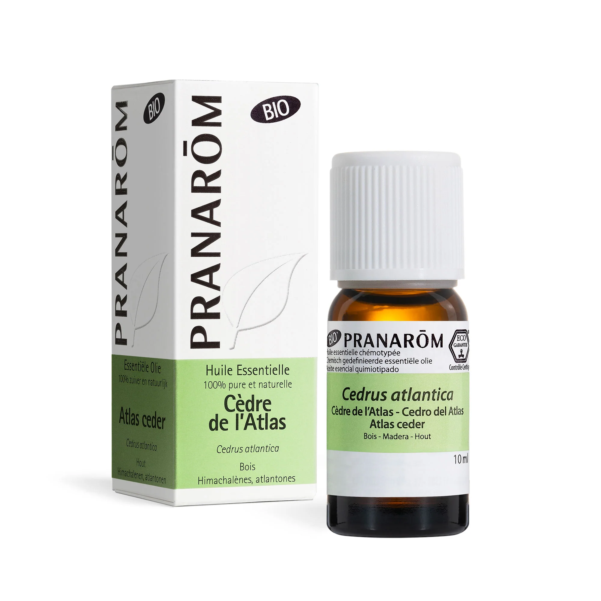 Miniature 1